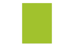 Elco Büropapier Color A4, 80 g/m²,