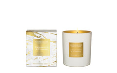 Stoneglow Duftkerze Cedarwood & Cypress