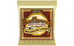 Ernie Ball 2003 Earthwood Bronze