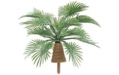 Hobbyfun Mini-Garten Palmstrauch