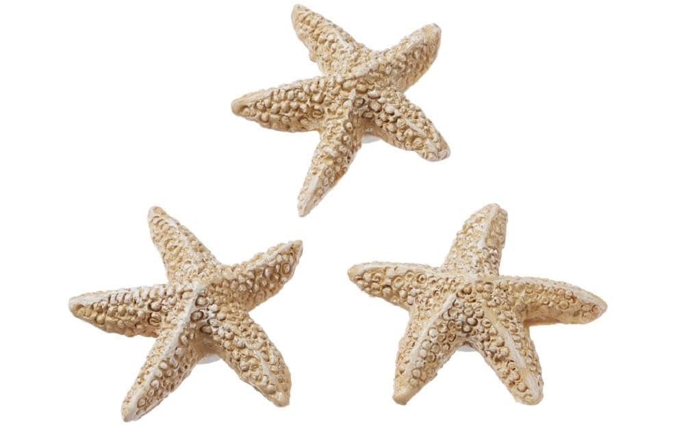 Hobbyfun Mini-Tier Seestern natur