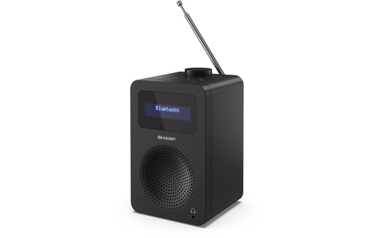 Sharp DAB Radio DR-430
