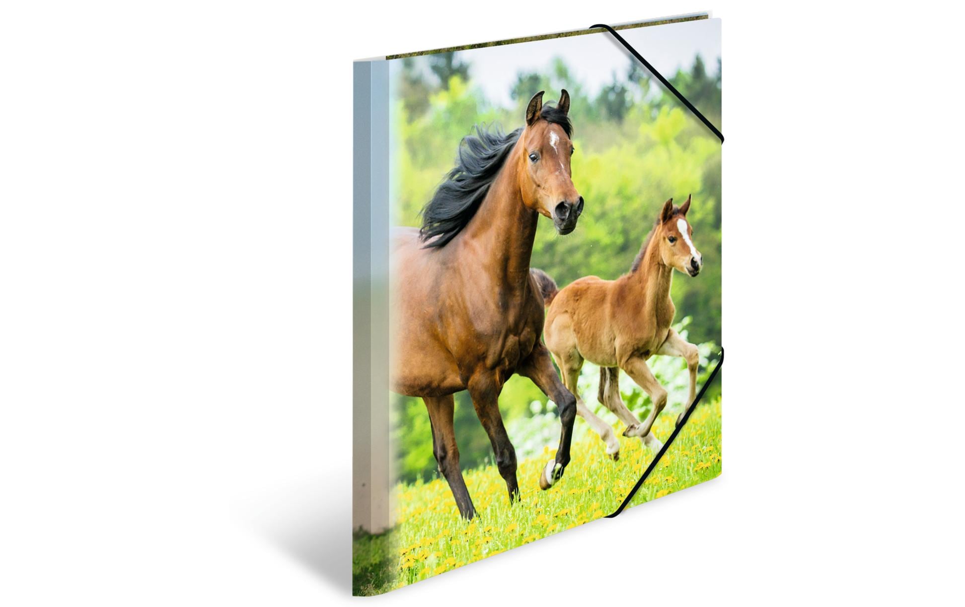 Herma Sammelmappe A4 Pferde