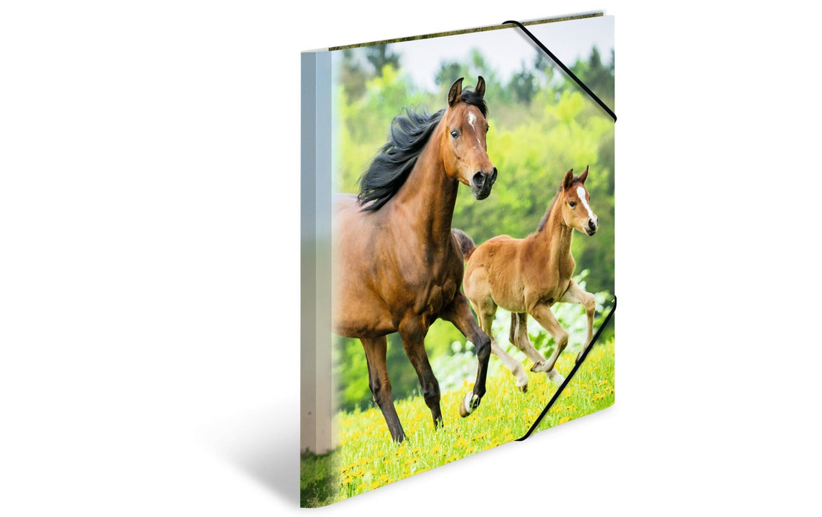 Herma Sammelmappe A4 Pferde