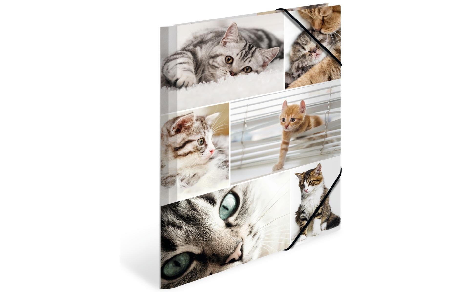 Herma Sammelmappe A4 Katzen
