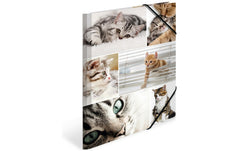 Herma Sammelmappe A4 Katzen