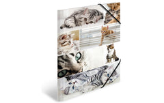 Herma Sammelmappe A3 Katzen