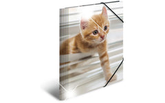 Herma Sammelmappe A4 Glossy Tiere Katzen