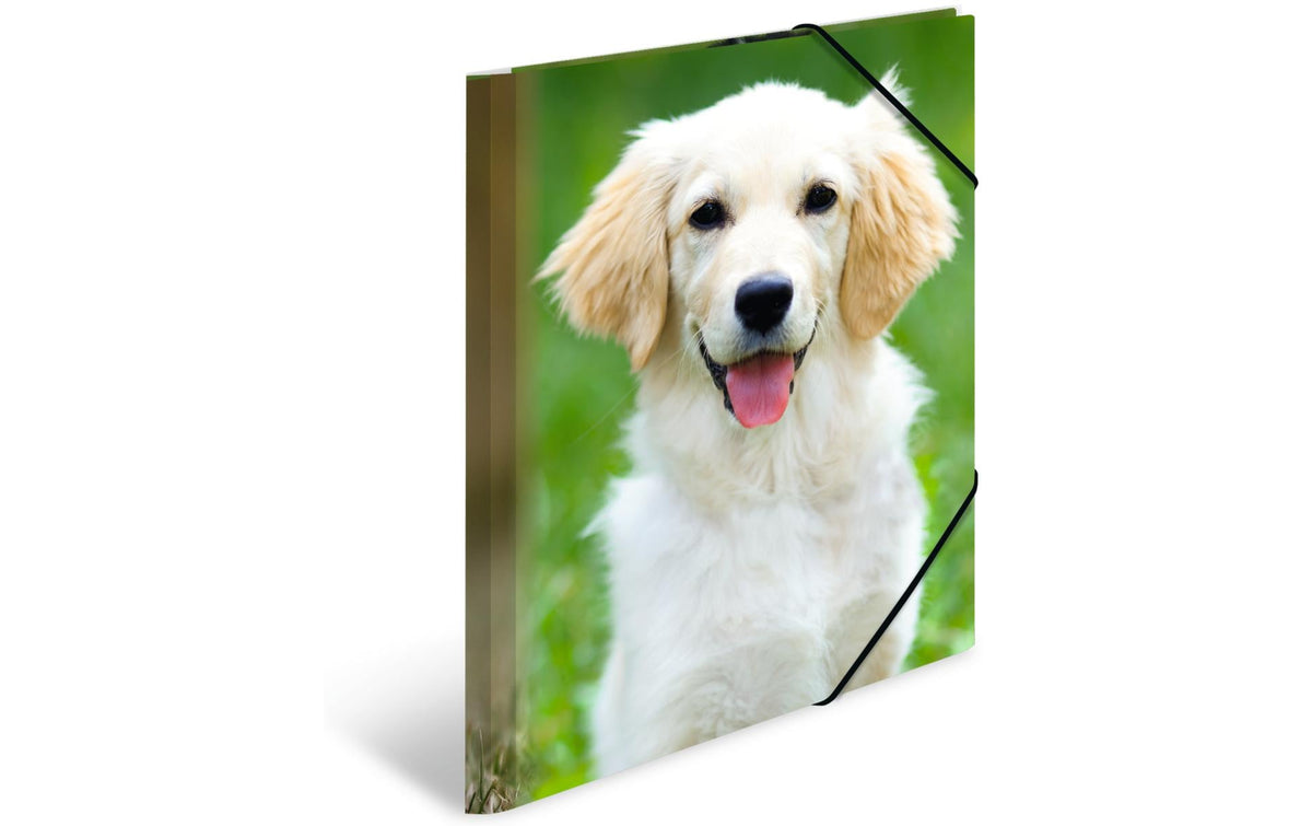 Herma Sammelmappe A4 Hunde