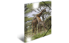 Herma Sammelmappe A3 Glossy Tiere Giraffe