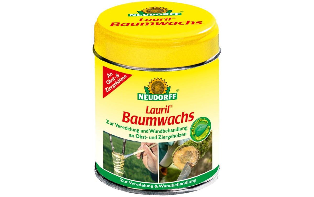 Lauril Baumwachs