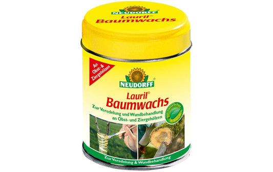 Lauril Baumwachs
