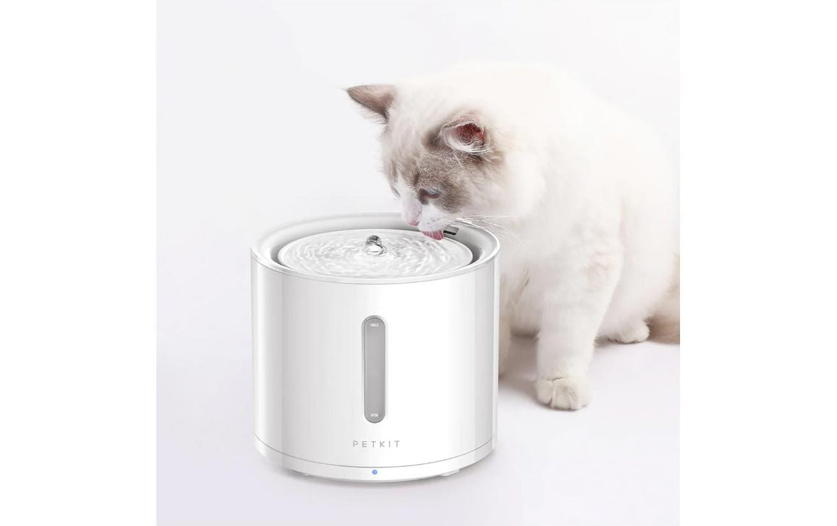 Petkit Eversweet Trinkbrunnen Solo 2