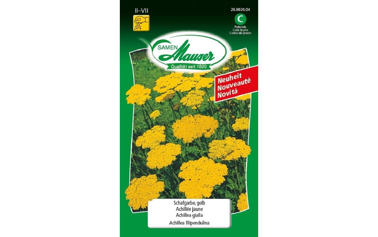 Samen Mauser Achillea
