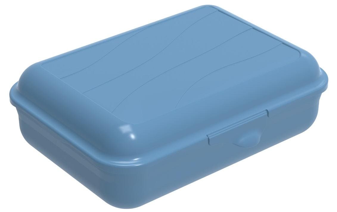Rotho, Lunchbox Fun 1250 ml, Blau