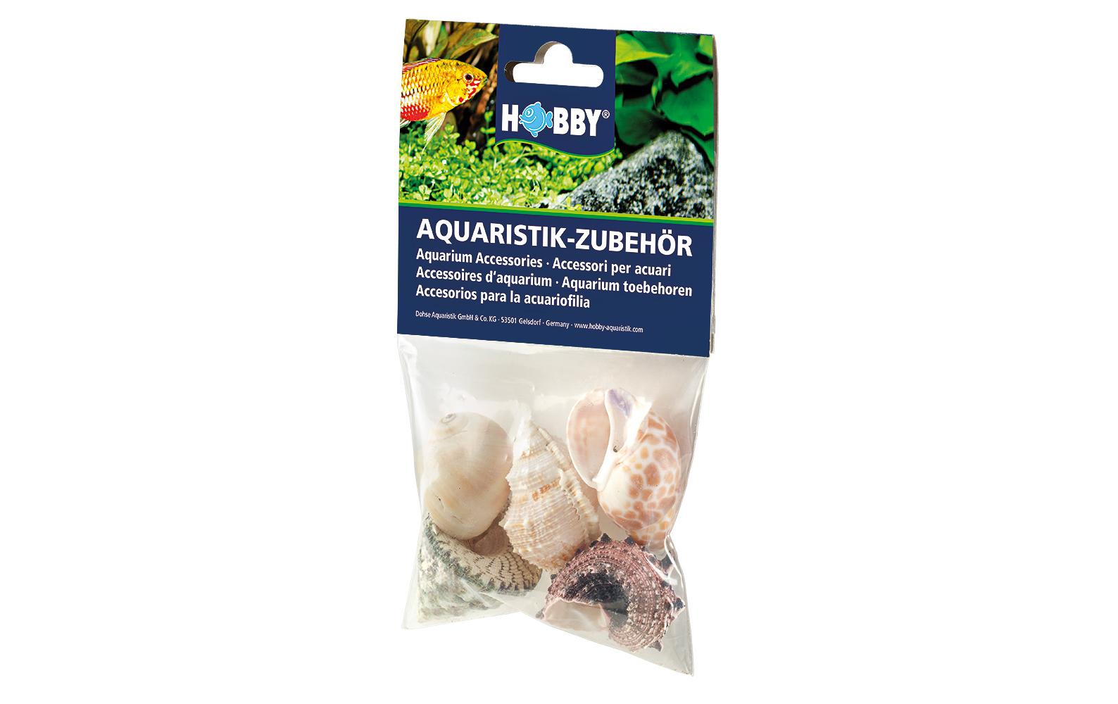 Hobby Aqua Sea Shells L