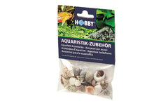 Hobby Aqua Sea Shells S