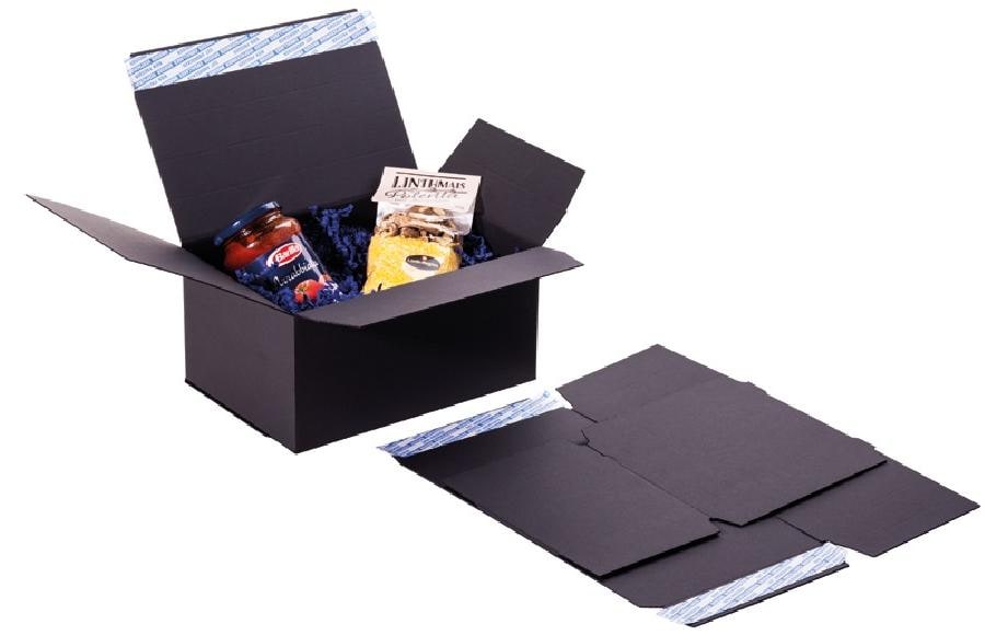 Brieger Box mit 2 Selbstklebeverschlüsse 1S