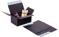Brieger Box mit 2 Selbstklebeverschlüsse 1S