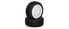 Hobbytech MAXI CROSS  1:8