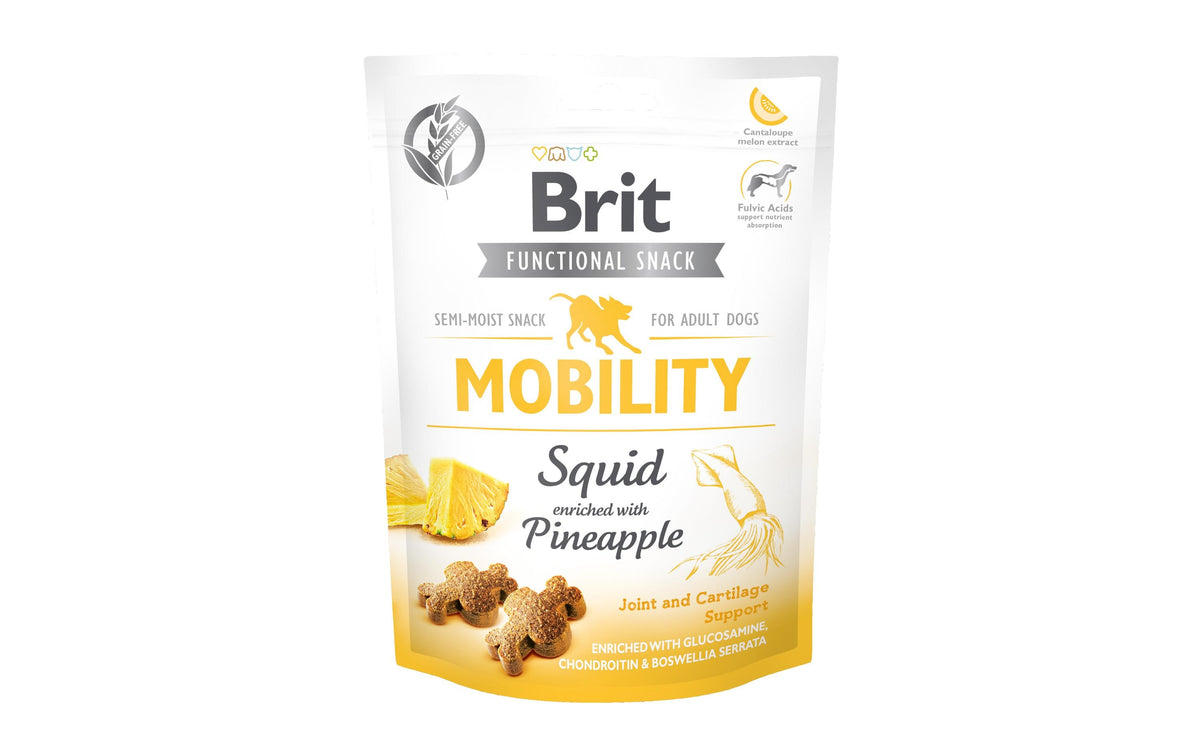 Brit Snack Dog Mobilty Tintenfisch 150g