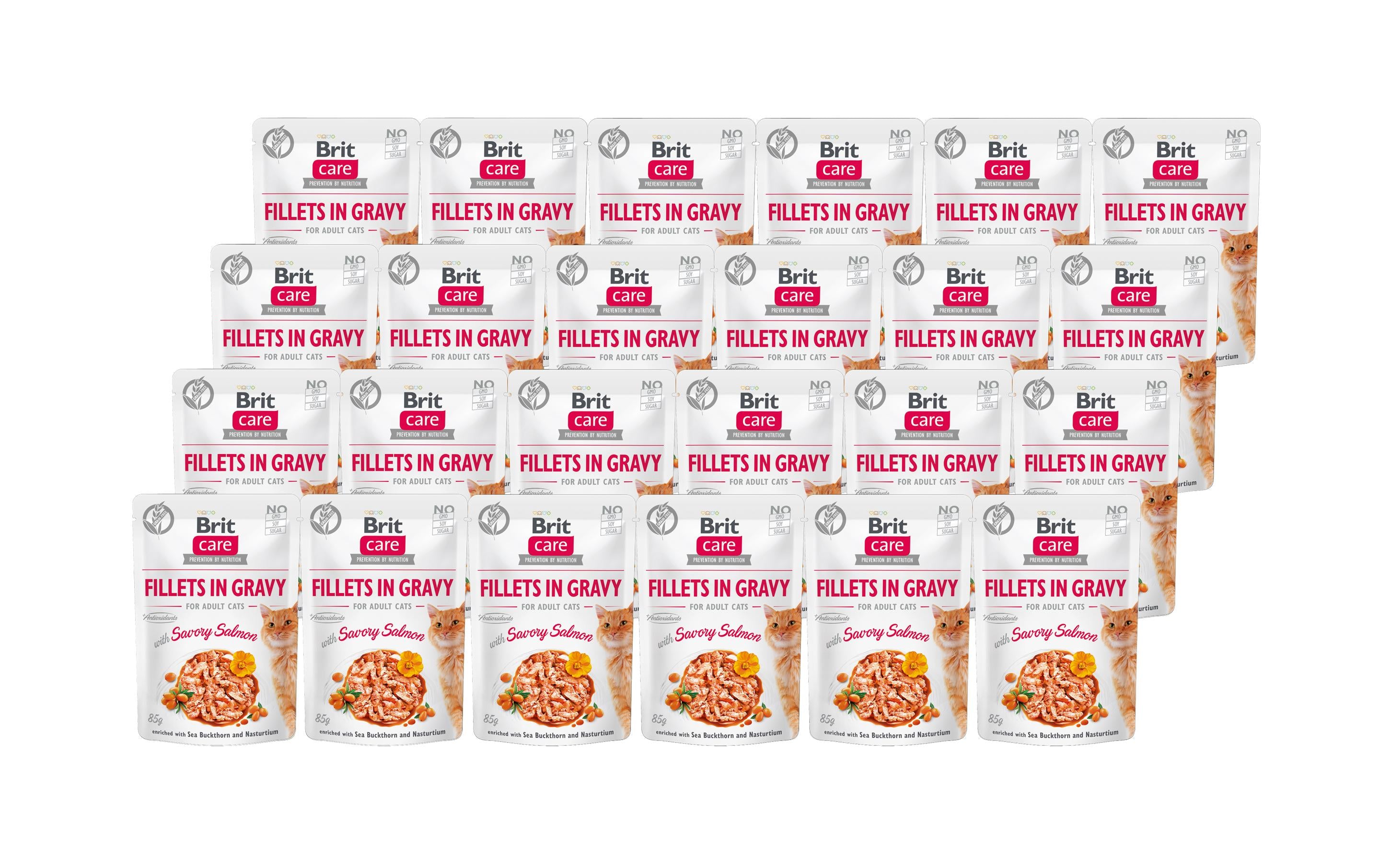Brit Care Cat Fillets Sauce Lachs Kit