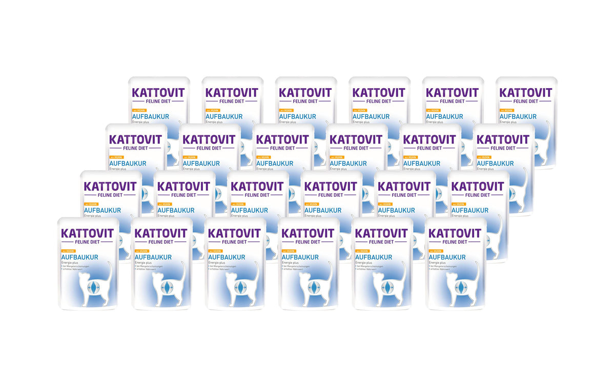 Kattovit Aufbaukur Huhn 24x85g Kit