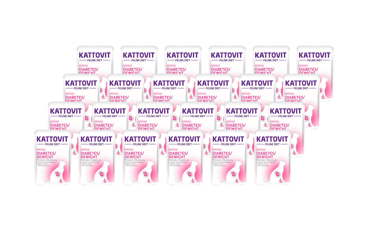 Kattovit Diabetes Lachs&Reis 24x85g Kit