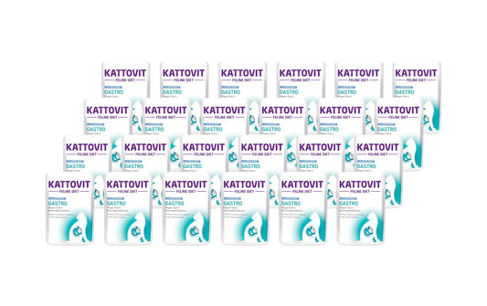 Kattovit, Nassfutter Gastro Ente und Reis,