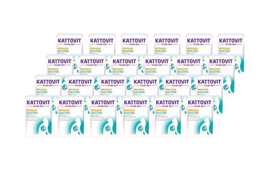 Kattovit, Nassfutter Gastro Huhn und Reis,