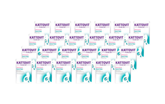 Kattovit, Nassfutter Gastro Lachs und Reis,