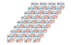 Monge Dog Fresh Pâté Lachs 32x100g Kit