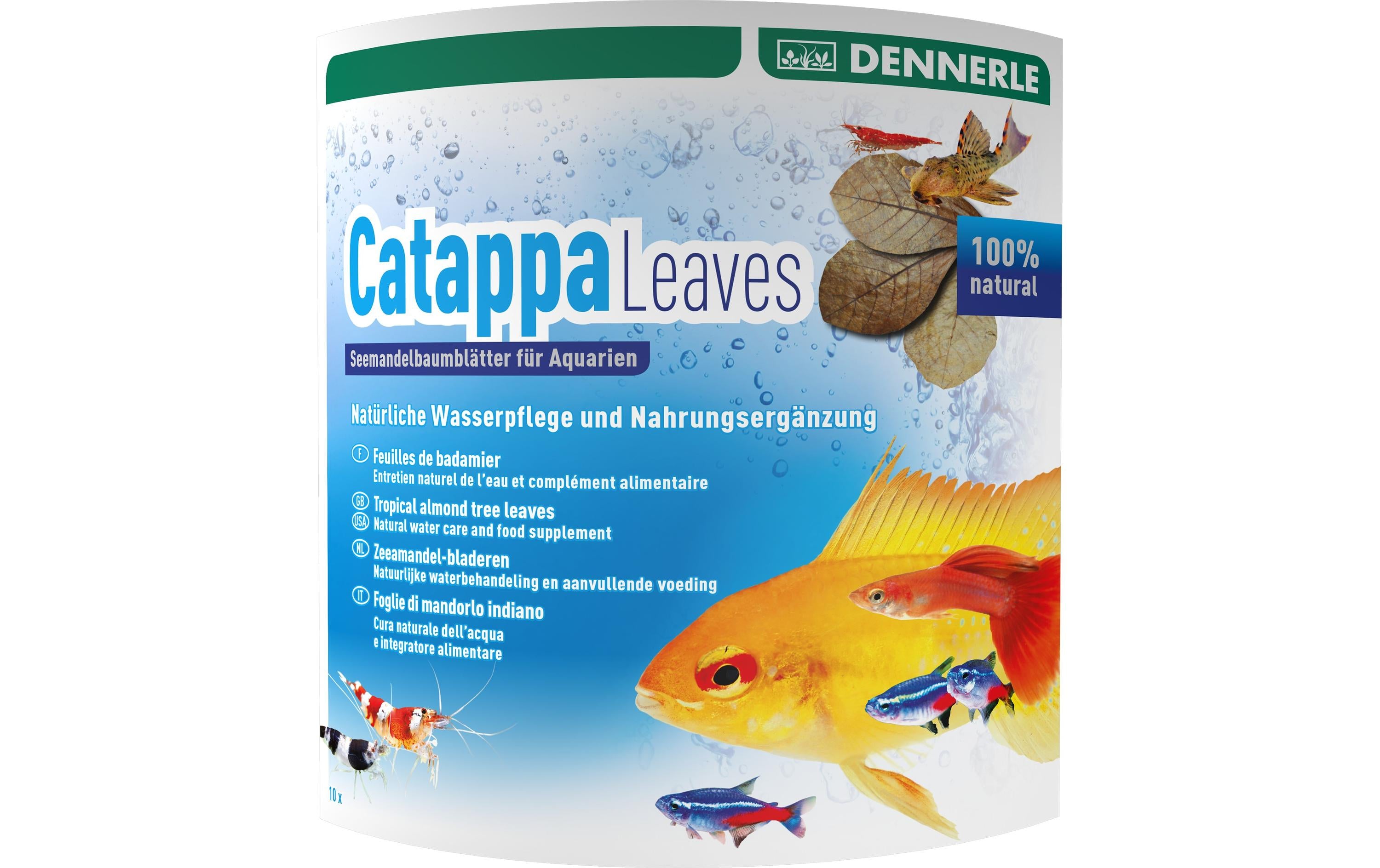 Dennerle Catappa Leaves