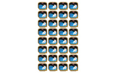 animonda Nassf. Vom Feinsten Adult KIT
