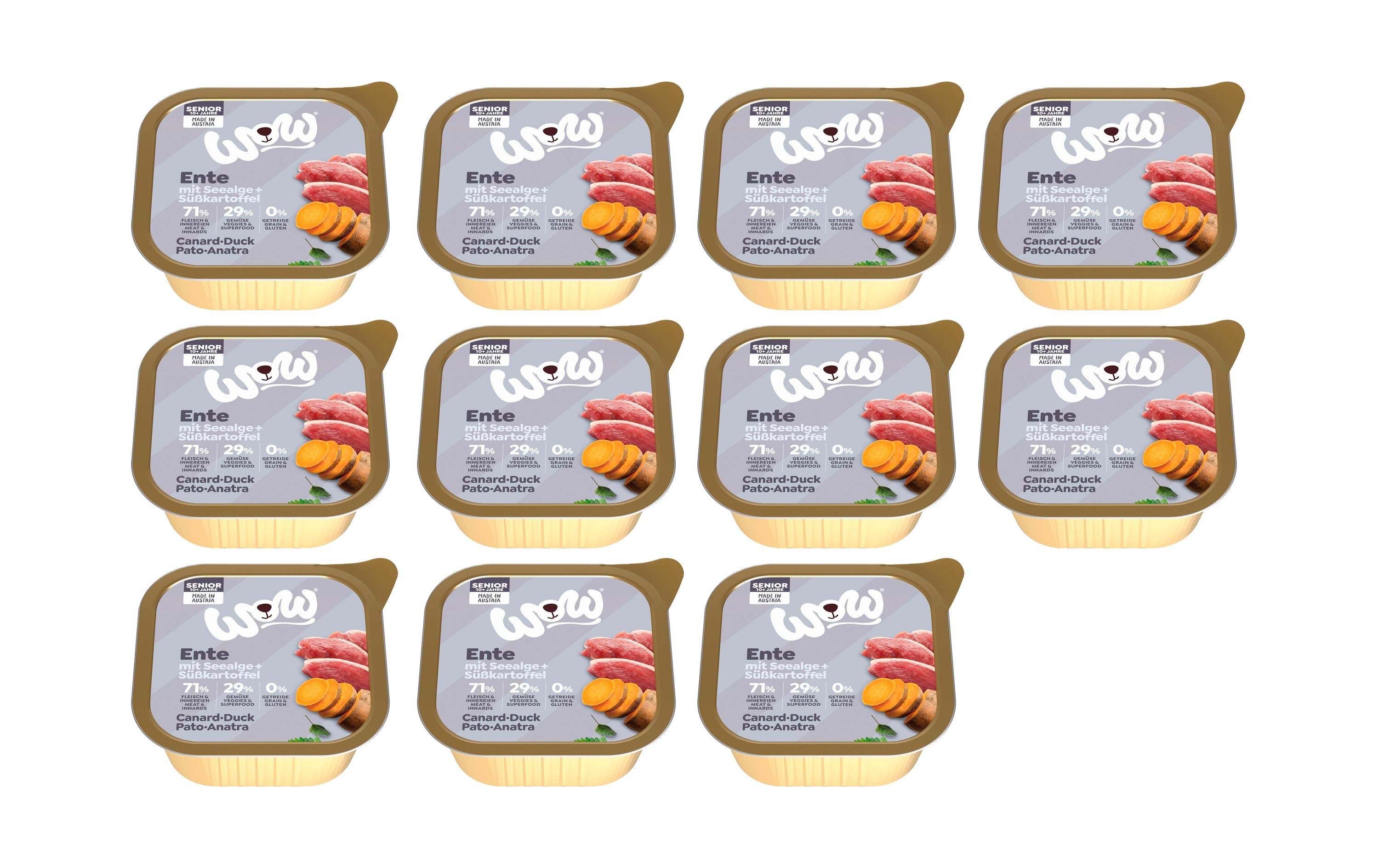 WOW Senior Ente Schale 11x150g Kit