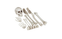relaxdays | Dekoknochen Halloween | 12-teiliges Set