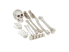 relaxdays | Dekoknochen Halloween | 12-teiliges Set