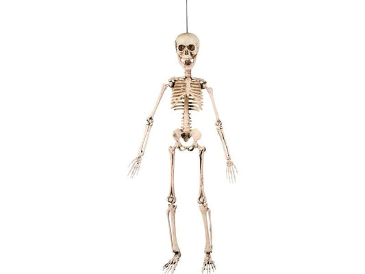 Amscan | Halloween Skelett Beweglich | 50 cm, zum Aufhängen