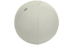 Leitz Active Sitzball 55cm