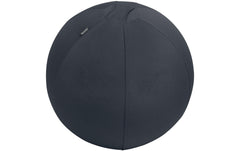 Leitz Active Sitzball 55cm