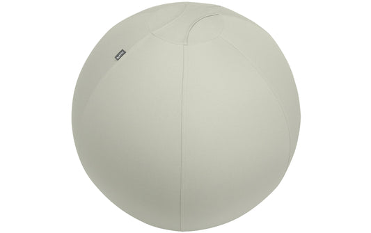 Leitz Active Sitzball 75cm