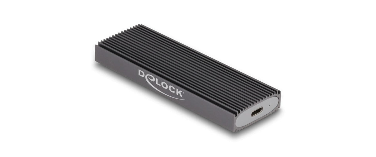Delock Externes USB Type-C Combo Gehäuse