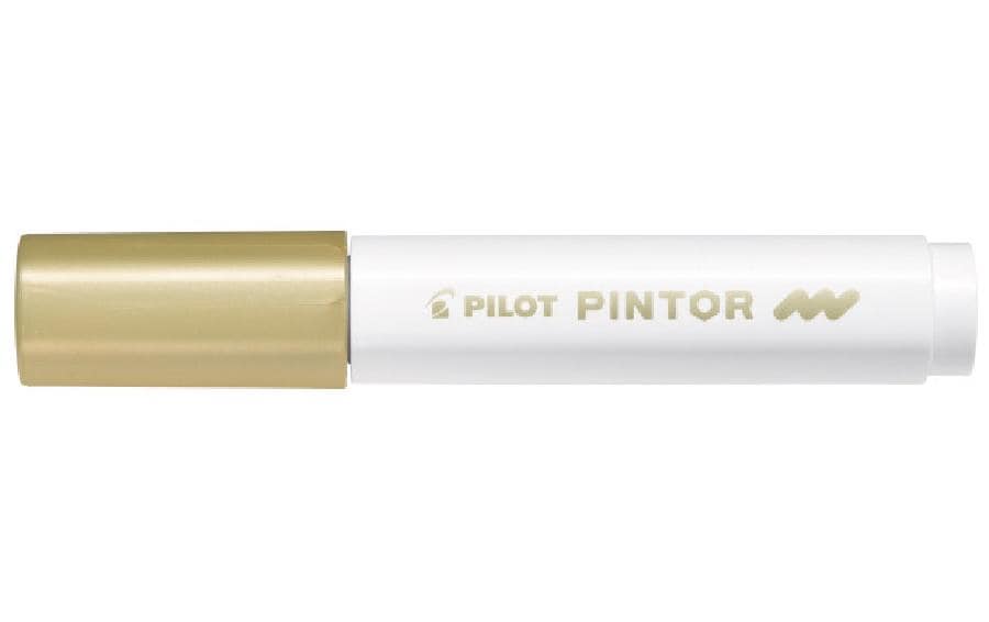 Pilot Pintor Medium
