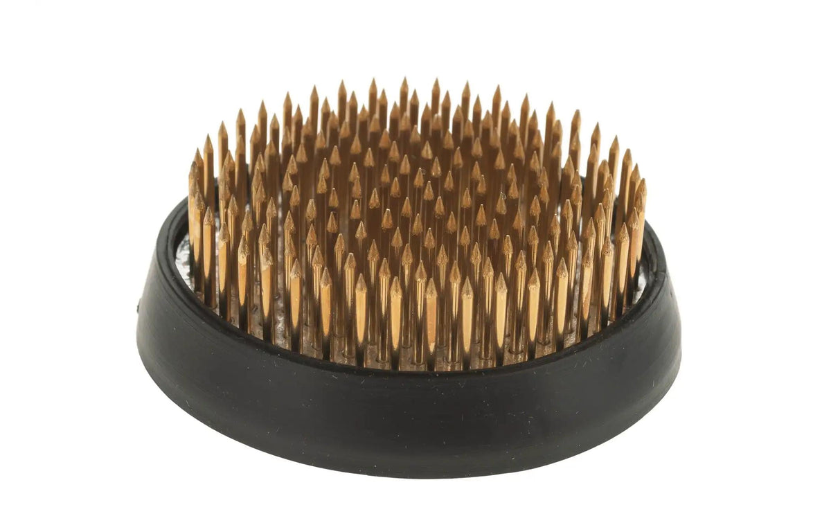 Opiflor Steckigel, Schwarz-Gold