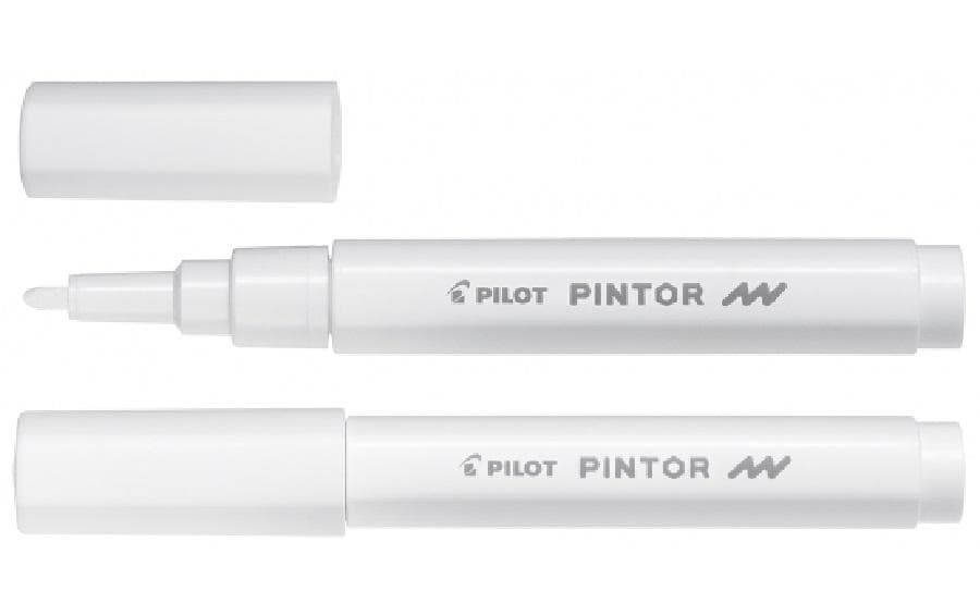 Pilot Pintor Fein