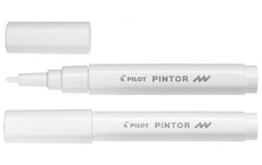 Pilot Pintor Fein