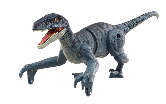 Amewi, RC Dinosaurier Velociraptor Blaugrau