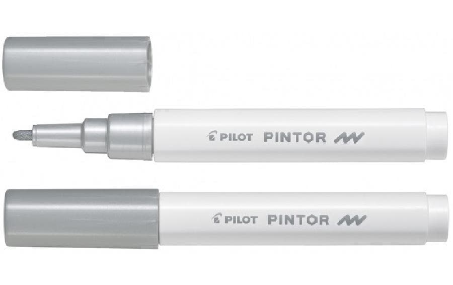 Pilot Pintor Fein