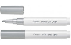 Pilot Pintor Fein