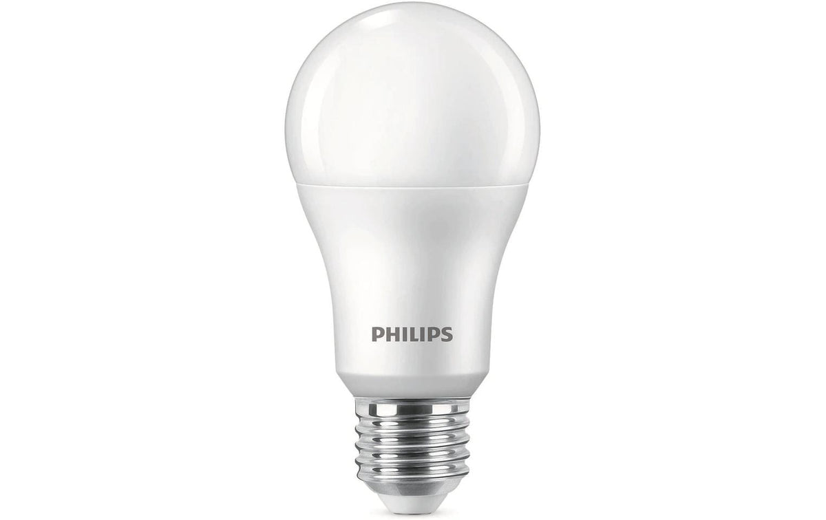LED 100W A67 E27 WW FR ND 3CT/6 EC